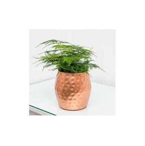 Design industriel Jardinière en or Pots de fleurs de taille personnalisée Prix de gros Pots et jardinières Poli brillant Très bonne qualité - Product Image 4