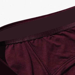Calzoncillos de encaje de cintura alta para hombre, de poliéster/algodón, de alta calidad, con logotipo personalizado, impresión por transferencia térmica, MOQ bajo - Product Image 4