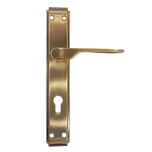Multi-Point Door Lock Lever Handle on Backplate