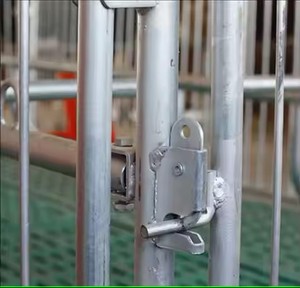 Nouvelle Cage de truie populaire pour la production de porcs Équipement d'élevage d'animaux de ferme Stalle d'élevage et conception de caisses de stylo de mise bas de porcs - Product Image 3