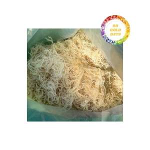 Algues cottonii séchées au soleil de haute qualité Ingrédient idéal pour les repas savoureux Collations saines et salades fraîches - Product Image 2