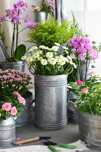 <b>Mini</b> Galvanised Tabletop Planter - <b>Bulk</b> Rustic <b>Pot</b> for Small Plants and <b>Succulents</b> - Product Image 5