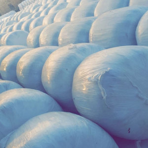 อาหารสัตว์เพื่อสุขภาพ ข้าวโพดหมักคุณภาพสูง อาหารสัตว์สีเขียว ข้าวโพดหมักสำหรับสัตว์นม สั่งซื้อข้าวโพดหมักจำนวนมาก - Product Image 4