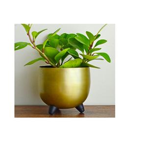 Jardinière galvanisée à la main Design traditionnel Jardinière de jardin en gros faite à la main Meilleure vente en aluminium personnalisé - Product Image 3