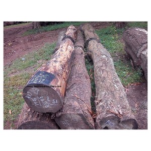 Madera Estructural de Azobé, Madera Dura de Alta Resistencia para Puentes, Muelles y Construcción Pesada - Product Image 6