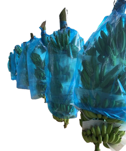 Venta al por mayor reutilizable PP no tejido fruta protección plátanos tomate bolsas-cubiertas ecológicas para jardinería de invierno - Product Image 5