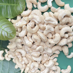 Fournisseur de confiance du Vietnam Noix de cajou vietnamiennes grillées et salées Ww180 Ww240 Ww320 exportées vers l'Asie, l'UE, le Moyen-Orient - Product Image 1