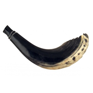 Auténtico Natural 100% Kosher Kudu Ram Sheep Shofar Cuerno Musical Regalo judío inodoro para mujeres y hombres Medio pulido - Product Image 2