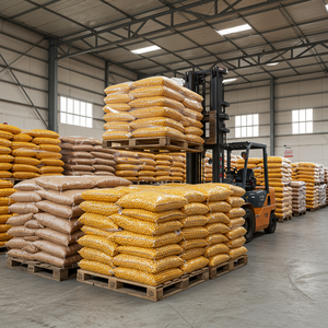 Maíz Amarillo Seco de Primera Calidad, Certificado HACCP, Producto 100% Natural para Compradores de Alimentos en Todo el Mundo - Product Image 6