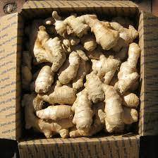 The Golden Standard of Spice Dried Ginger That Transforms Perfectful Taste From Viet Nam | SLICE & POWDER - Product Image 2