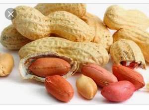 ถั่วลิสงแช่แข็ง iqf จากเวียดนามพื้นดินที่มีคุณภาพสูงสำหรับการปรุงอาหารอบและการใช้ในอุตสาหกรรม - Product Image 5