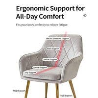 Chaise de salle à manger en velours OEM avec dossier en tissu, assise rembourrée douce, pieds en métal, chaise de dîner moderne pour restaurant, salon, cuisine