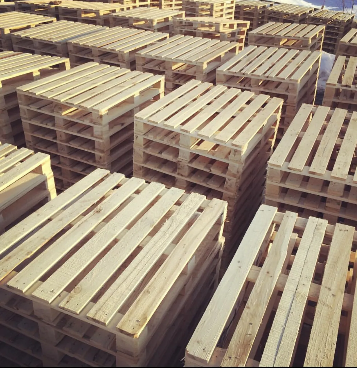 Euro Epal Wooden Pallets wholesale distributors