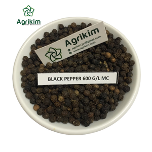 Poivre noir du Vietnam séché 500gl Haute qualité Meilleur prix Usine au Vietnam 100% Naturel Vente en gros +84399521266 Mme Mia - Product Image 1
