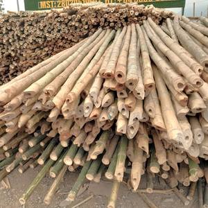 Varillas de amboo para ardar y ecoración, varillas de arroz - Product Image 4