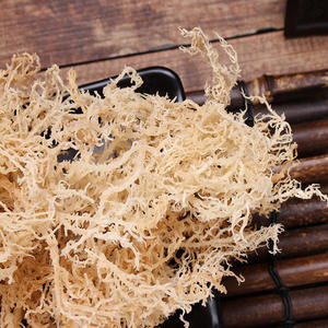 Mousse de mer crue séchée du meilleur producteur d'algues blanches sèches d'eucheuma cottonii mousse de mer de qualité supérieure - Product Image 2