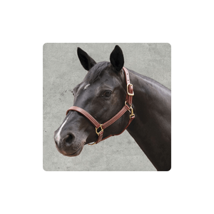 Motif équestre cheval licou Premium triple couture licou cuir cheval licous à vendre plié multifonctionnel - Product Image 1