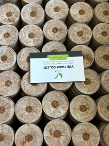Pastilles de coco bio - Substrat de culture durable pour graines et semis - Product Image 2
