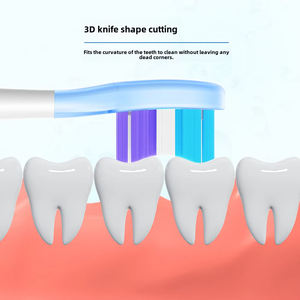 Fast <b>Moving</b> 4pcs Soft Bristle Nylon Oral Hygiene Replacement Electric Toothbrush Head <b>for</b> Hotel & Household Use - Product Image 3