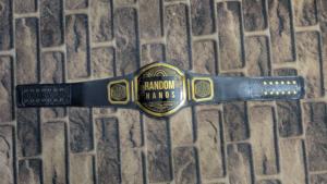 Diseño personalizado para Champion Legacy Award 4MM de espesor de cuero genuino pesado Material suave y duradero para ropa de artes marciales - Product Image 2