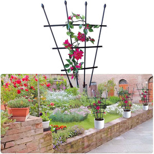 Lot de 2 grilles de soutien en forme d'éventail pour plantes en pot de jardin - Product Image 5