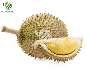 VIET THIEN PHU Fruits frais biologiques Durian Fourniture mensuelle congelée Processus de conservation de l'eau IQF Cultivés en serre au Vietnam - Product Image 6