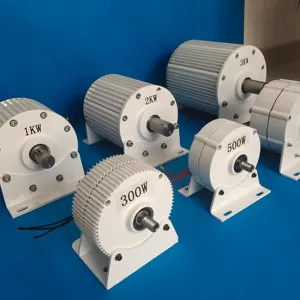 Mini formato ad alte prestazioni Brushless Low Rpm 1000w 5kw 10kw 20kw 220v pm generatore alternatore