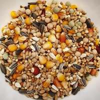 Nourriture Premium pour Pigeons avec du Maïs, du Blé, du Millet, des Pois et des Graines de Tournesol