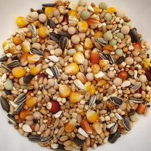 Alimento Premium para Palomas con Maíz, Trigo, Milo, Guisantes y Semillas de Girasol - Product Image 1