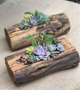 กระถางดอกไม้ไม้กลางแจ้งต้องการปลูกต้นไม้ในสวนหลังบ้านกระถางต้นไม้เปลือกเฟอร์ - Product Image 6