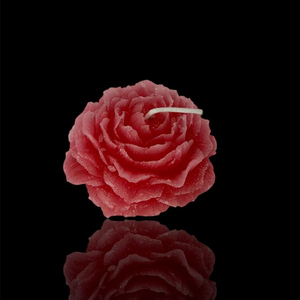 Vela perfumada de etiqueta privada Vela perfumada OEM Proveedor de velas ODM Fabricante de velas perfumadas personalizado perfumado a granel - Product Image 1