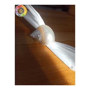 Coquilles de turquoise verte du Vietnam artisanat décor de Noël écologique recueilli et nettoyé pour l'approvisionnement en vrac et la vente au détail - Product Image 3