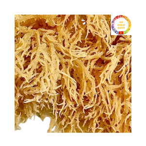 Mousse de mer vietnamienne biologique séchée et nettoyée meilleur prix de gros des algues saines pour l'exportation - Product Image 1