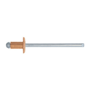 ชุดหมุดยึดทองแดง 4.0x09 จำนวน 100 ชิ้น - Product Image 1