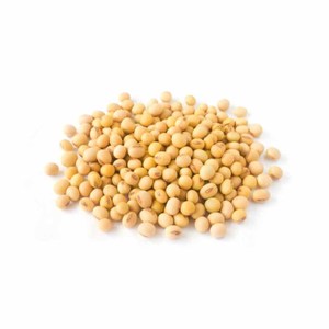 ถั่วเหลืองสีเหลืองไม่ผ่านการอบแห้งถั่วเหลืองแบบออร์แกนิกอาหารสำหรับทำฟาร์มจำนวนมาก - Product Image 6