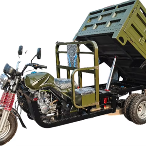 COREY 2026 Véhicules à trois roues/Tuk-Tuks 250cc à succès en Chine, vente directe d'usine - Product Image 1