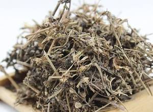 Gelée d'herbe Mesona Chinensis noire biologique 90 kg ou 60kg par balle Prix de gros - Product Image 4