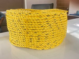 High Quality Polypropylene Danline Ropes India Factory 4mm-32mm Sizes 3 4 Strand Twisted Structure Made Nylon PE Marine Shipping - Product Image 2