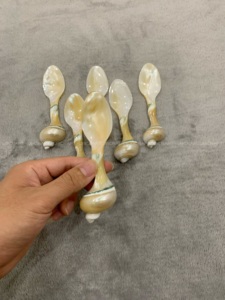 Artesanía Madre de Perla Cuchara Concha Caviar Cuchara, Caviar Cuchara Única Regalo Significativo Hecho De Vietnam Fabricación - Product Image 2