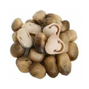 STRAW MUSHROOM AND QUALITY MEETS STANDARDS AND GOOD PRICE SUITABLE FOR EVERYONE'S NEEDS