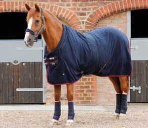 Alfombra de caballo ecuestre de alta calidad del fabricante para carreras, cubiertas de invierno y verano, opciones de relleno de algodón polar de tela - Product Image 2