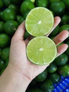 มะนาวเขียวมะนาวไร้เมล็ด100% เวียดนาม - Product Image 4