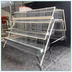 Fourni Bonne Qualité Coop Corée du Sud Poulailler Poulailler Elevage de Poulet Poulailler en Bois avec Boîte Oeuf Inférieur Cassé Taux 62 - Product Image 6