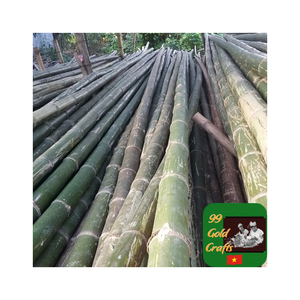 Poste de bambú natural de alta calidad de Vietnam para proyectos, poste de bambú tratado para construcción, andamios y soporte agrícola - Product Image 1