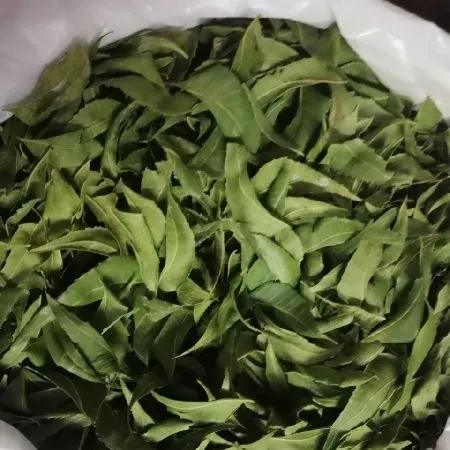 Meilleures ventes de feuilles sèches de neem en Inde coupées pour la fabrication du thé fournisseur de feuilles sèches de neem pour l'extrait d'herbes