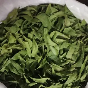 ใบสะเดาอินเดียแบบแห้งตัดชาสำหรับทำชาผู้จำหน่ายจากใบสะเดาแห้งสำหรับสกัดสมุนไพร