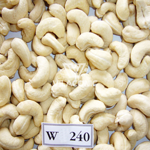 ANACARDOS ORGÁNICOS MÁS FINOS DE CALIDAD DELICIOSOS TODOS LOS TIPOS SP LP WW180 WW240 WW320 WW450 EMPAQUE PERSONALIZADO AL POR MAYOR - Product Image 5