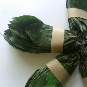 Feuilles de corossol séchées : Essence tropicale, Arôme naturel - Product Image 2