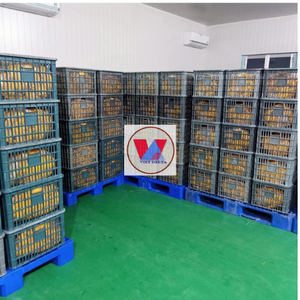 มะม่วงอบแห้งเนื้อนิ่มคุณภาพสูงสามารถกำหนดรูปร่างได้เองทั้งหมดหรือตัดเป็นชิ้น/MS ขอบคุณ - Product Image 2