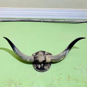 Worldcraft impex โคมไฟเกลือติดผนังรูปเขาควายแกะสลักทำด้วยมือ - Product Image 1